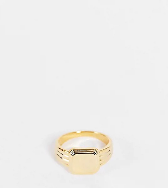 Позолоченное квадратное кольцо-печатка с линейным дизайном Orelia-Золотистый