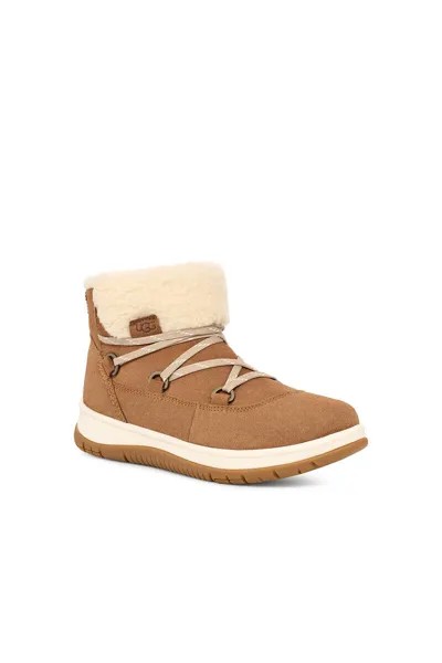 Женские ботинки на шнуровке Ugg, коричневый