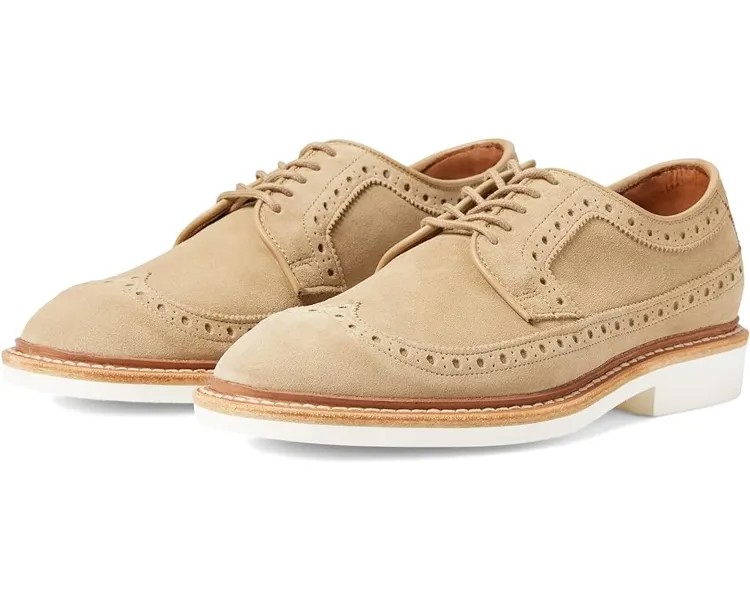 Оксфорды Allen Edmonds William, цвет Bone Suede