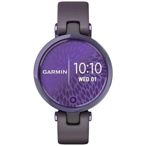 Наручные часы Garmin 010-02384-12