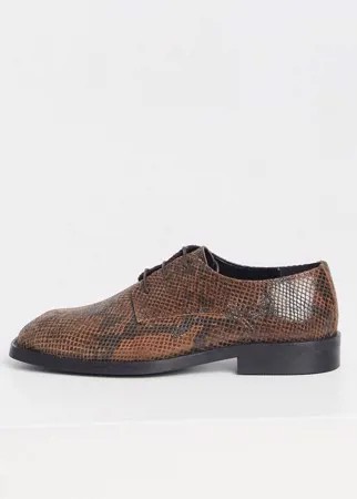 Кожаные туфли на шнуровке с квадратным носком и змеиным принтом ASOS DESIGN-Коричневый цвет