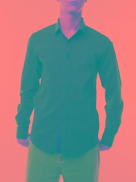Рубашка мужская Paolo Maldini hs-vl7 фиолетовая; синяя; золотистая; коричневая 46; 48 RU