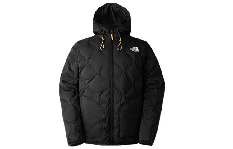 THE NORTH FACE Мужской пуховик, цвет Black