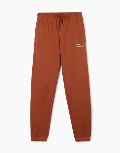 Спортивные брюки женские Gloria Jeans GAC020436 оранжевые S/164