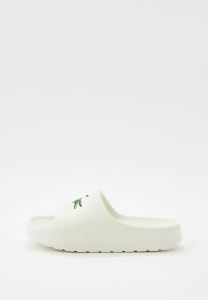 Сланцы Lacoste