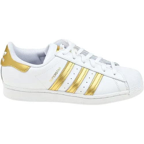 Кеды adidas Superstar, размер 4,5 UK, белый, золотой