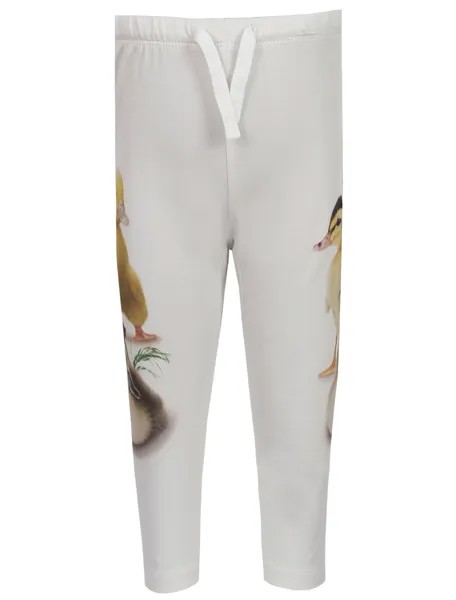 Брюки спортивные MOLO
