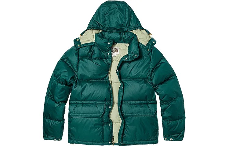 Пуховик мужской зеленый The North Face, зеленый