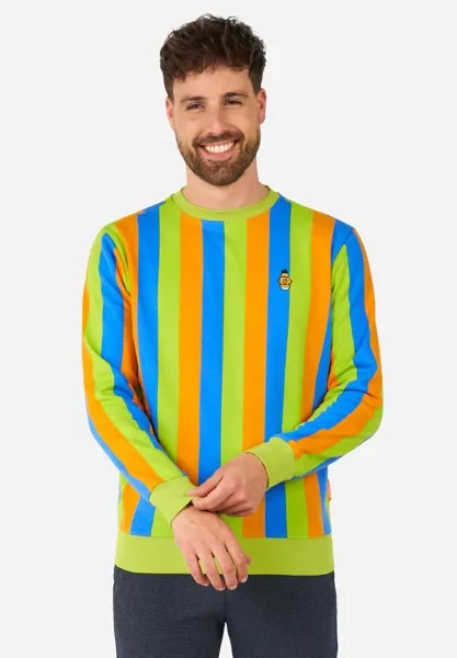 Толстовка BERT & ERNIE SESAME STREET OppoSuits, цвет multi coloured