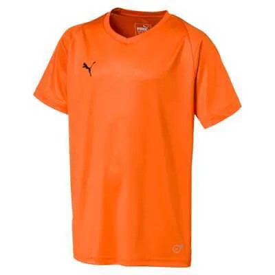Футболка Puma Liga Core с V-образным вырезом и короткими рукавами для мальчиков, молодежная, оранжевая 703542-08