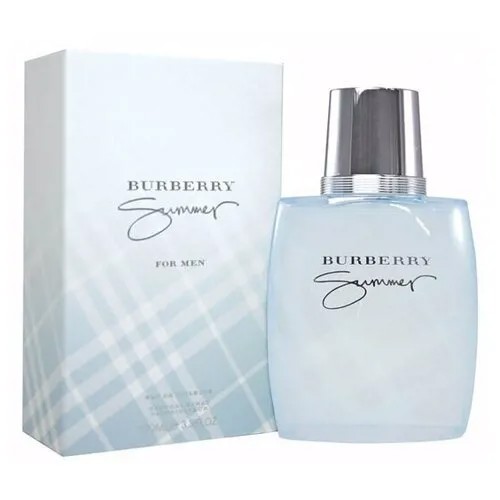 Туалетная вода мужская Burberry Summer 100ml