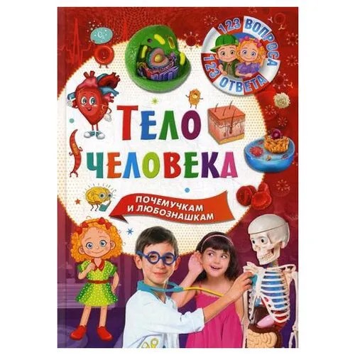 Тело человека
