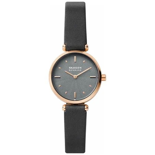 Наручные часы SKAGEN SKW2995
