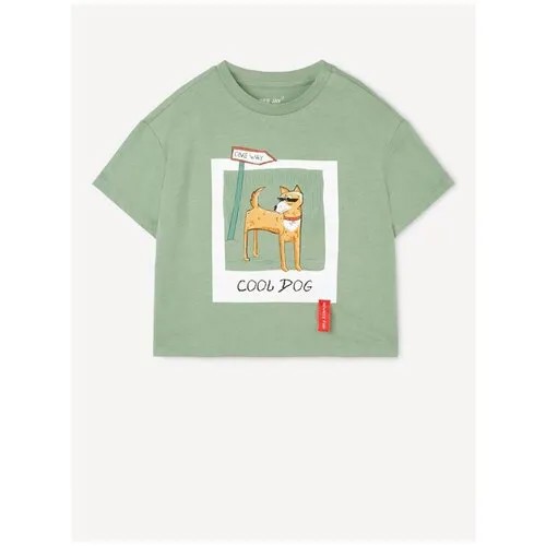 Зелёная футболка с принтом Cool dog для мальчика Gloria Jeans, размер 2-3г/98