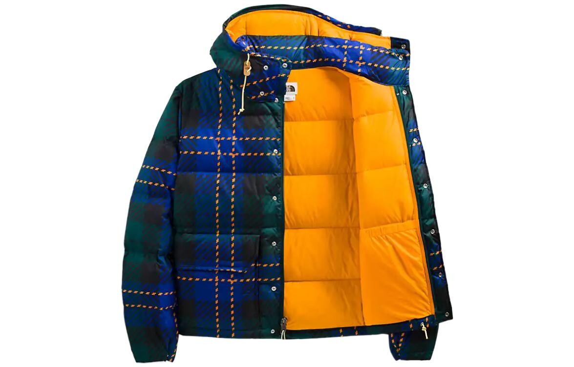 Куртка мужская бирюзовая The North Face, бирюзовый
