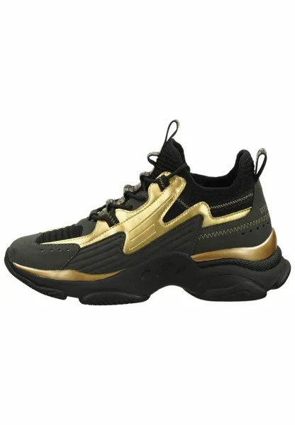 Низкие кроссовки Mavericks Steve Madden, цвет blk gold