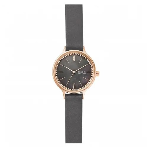 Наручные часы SKAGEN SKW2909