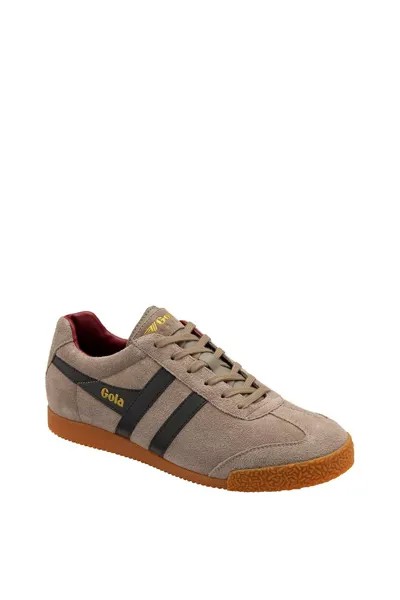 Кроссовки 'Harrier' Suede Lace-Up Trainers Gola, коричневый