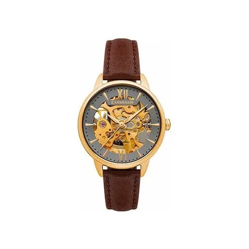 Наручные часы EARNSHAW Часы Earnshaw ES-8153-04, коричневый, серый