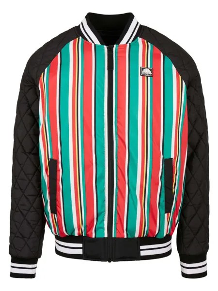 Демисезонная куртка Southpole, цвет multicolor