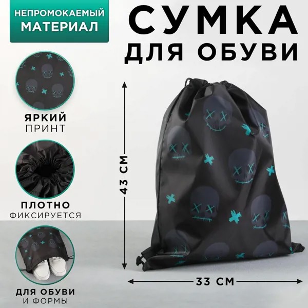 Сумка для обуви болоньевая