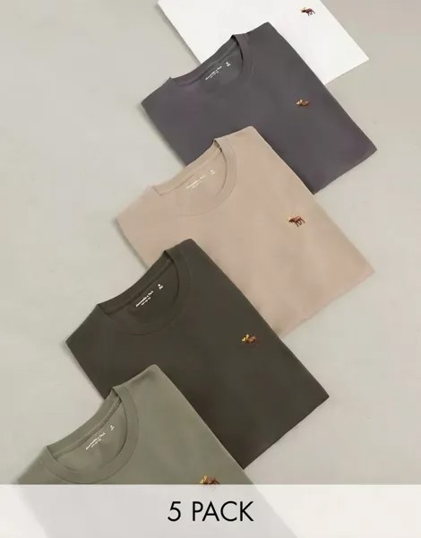 Набор из 5 футболок свободного кроя Abercrombie & Fitch нейтральных цветов с логотипом бренда