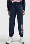 Спортивные брюки Tommy Hilfiger, мультиколор