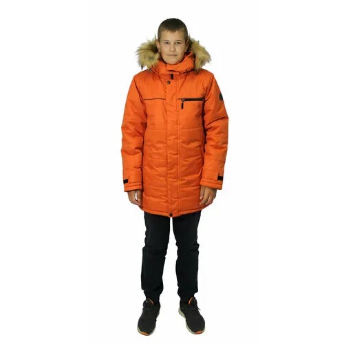 Куртка Эврика, размер 164-84-72, оранжевый