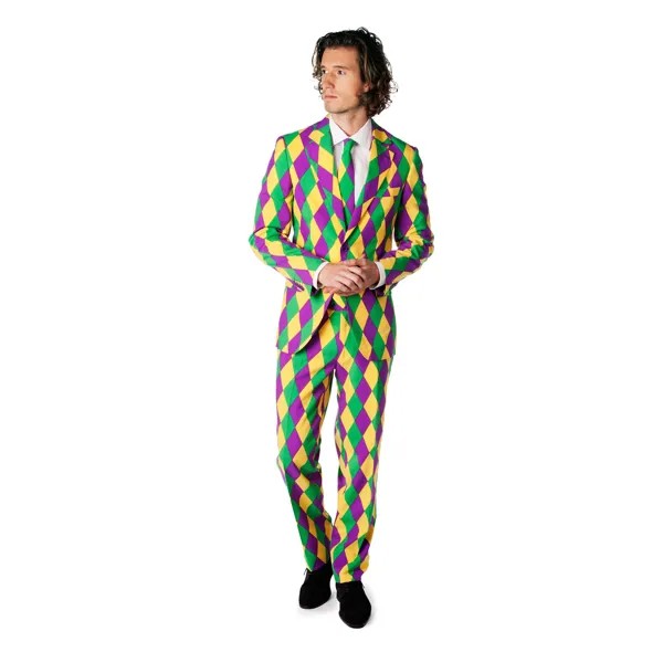 Мужской костюм с галстуком OppoSuits Slim-Fit Harleking, мультиколор