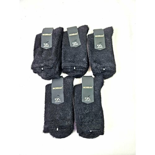 Носки MORRAH, 5 пар, размер 41-47, синий, красный, фиолетовый, бордовый, коричневый, черный