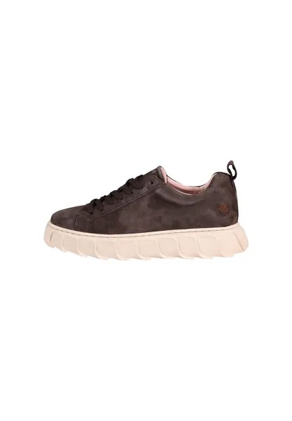 Низкие кроссовки Lizzo Apple of Eden, цвет taupe