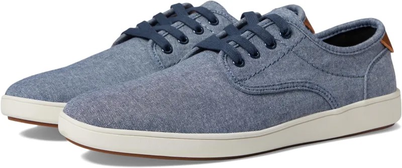 Кроссовки Steve Madden Fenta, синий