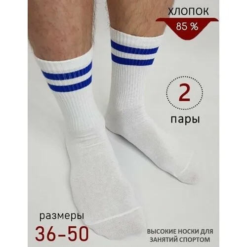 Носки BIZ-ONE, комплект, 2 пары, размер 44-45, белый, синий