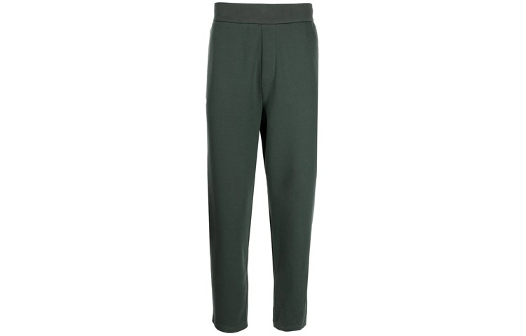 Трикотажные спортивные штаны мужские зеленые Armani Exchange, зеленый