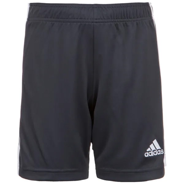 Шорты adidas Performance Tastigo 19, цвет grau/weiß