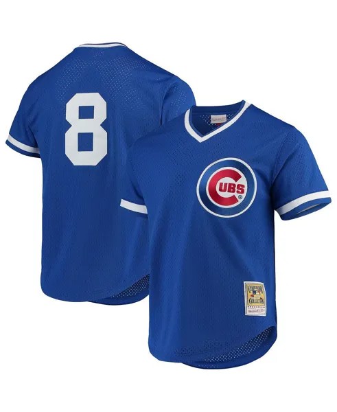 Мужская сетчатая тренировочная майка Andre Dawson Royal Chicago Cubs Cooperstown Collection Mitchell & Ness