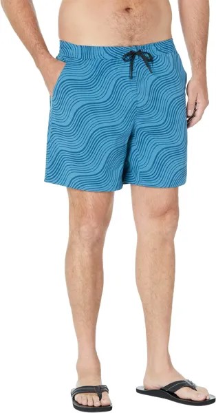 Шорты для плавания Stryder Mountain Hardwear, цвет Caspian Waves Print