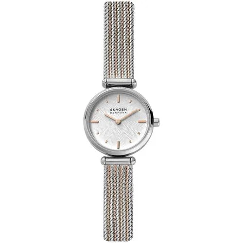 Наручные часы Skagen SKW2978