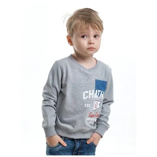 Свитшот Mini Maxi, размер 122, серый