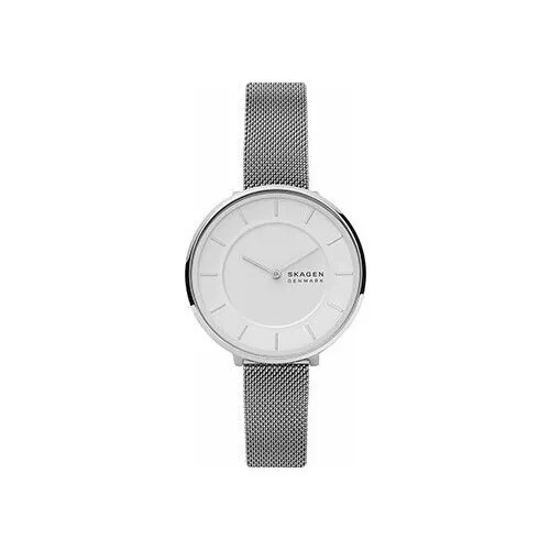 Наручные часы Skagen SKW3016