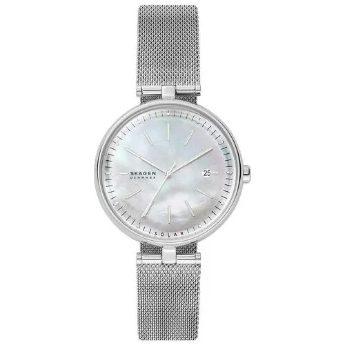 Наручные часы Skagen SKW2979