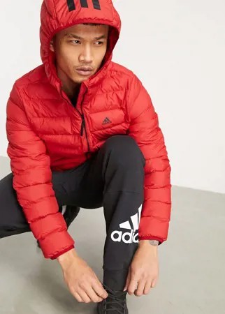 Красный пуховик с капюшоном для активного отдыха adidas Outdoors-Черный цвет