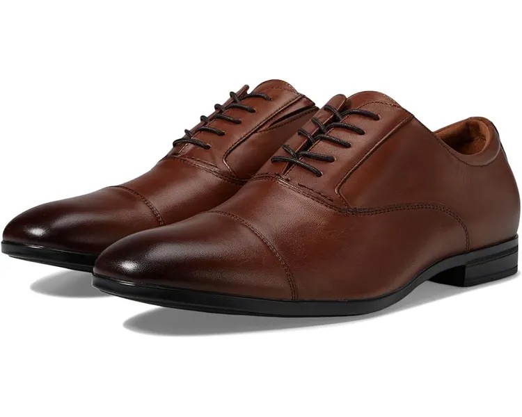 Оксфорды ALDO Stan, цвет Cognac