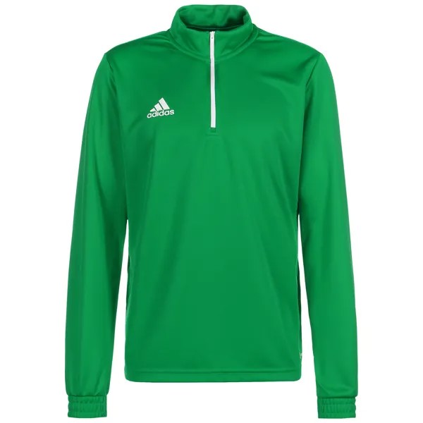 Толстовка adidas Performance Trainingspullover Entrada 22, цвет grün/weiß