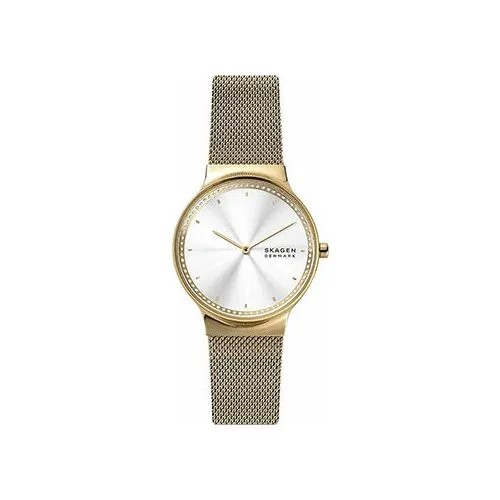 Наручные часы Skagen SKW1148