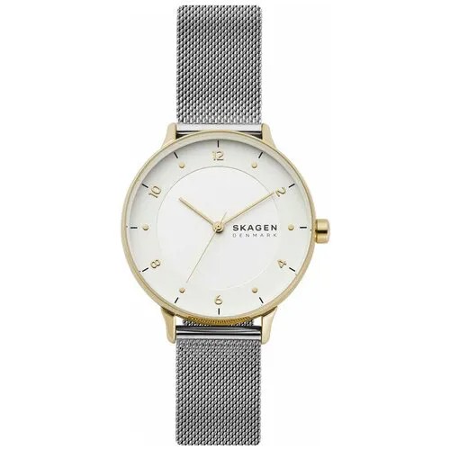 Наручные часы Skagen SKW2912