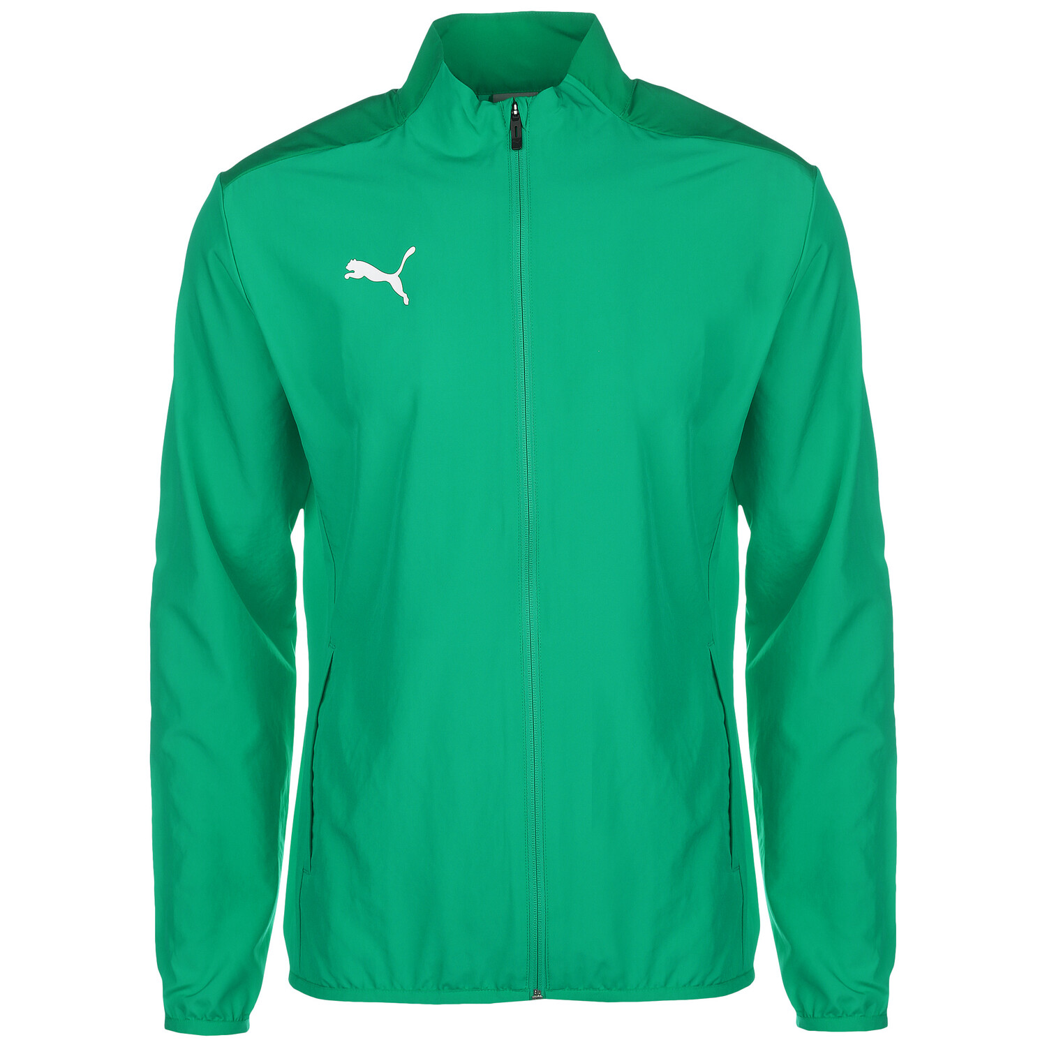 Спортивная куртка Puma Stadionjacke TeamGOAL 23 Sideline, цвет dunkelgrün/grün