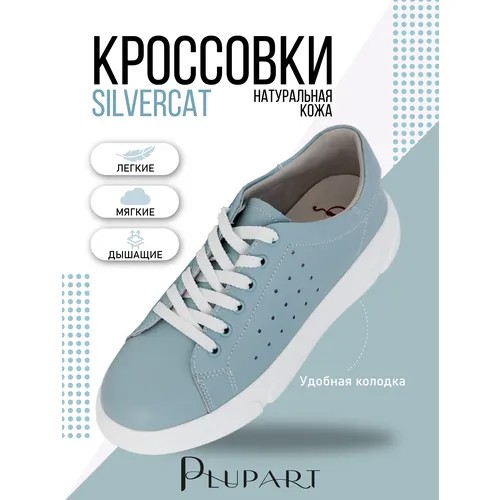 Кеды Silver Cat, полнота R, размер 39, серо-голубой