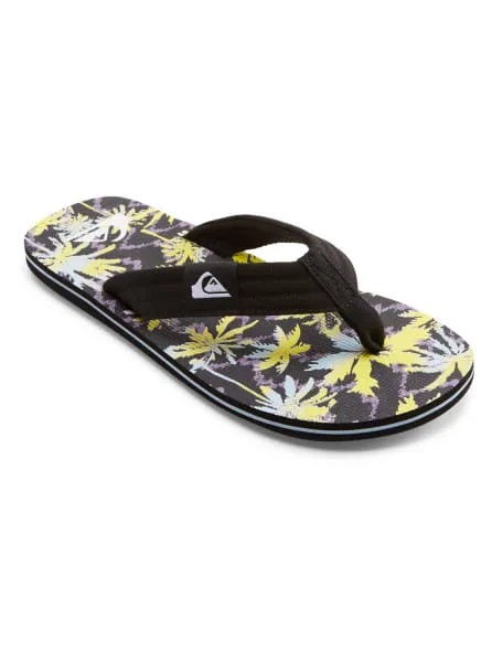 Вьетнамки мужские Quiksilver AQYL101241-XKYY разноцветные 42 RU