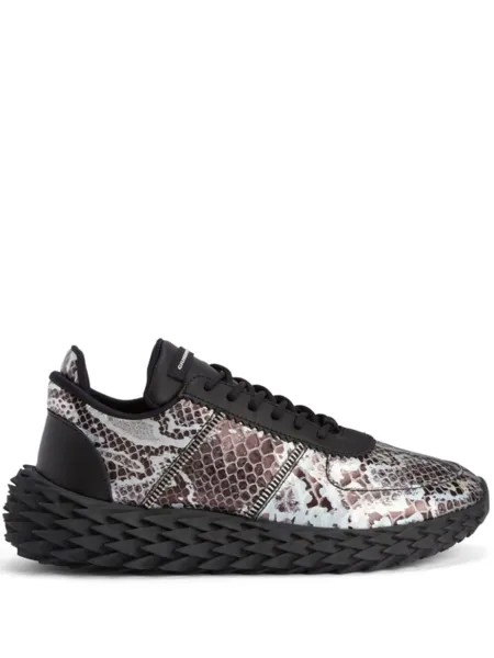 Кроссовки Urchin со змеиным принтом Giuseppe Zanotti, черный